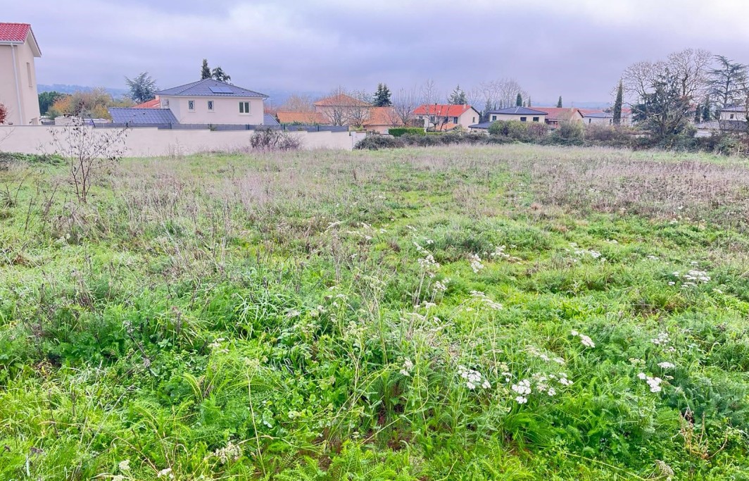 Photo terrain